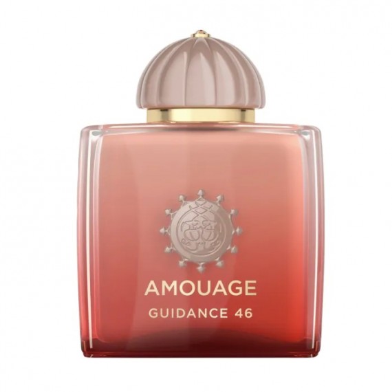 Guidance 46