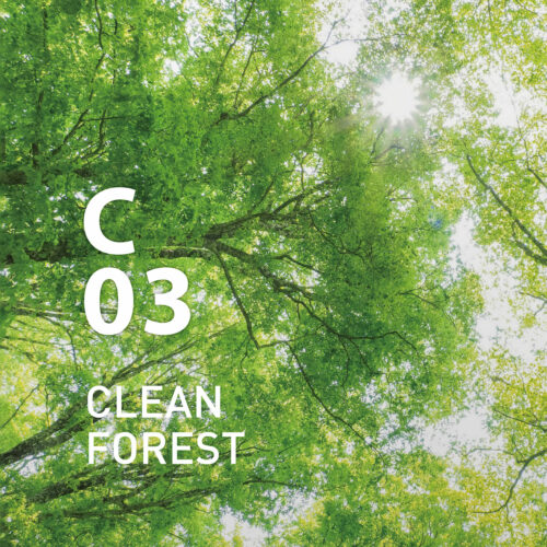 C03 Clean Forest