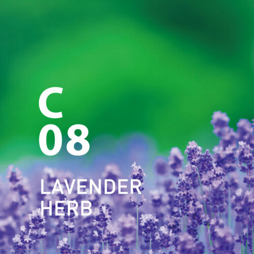 C08 Lavender Herb