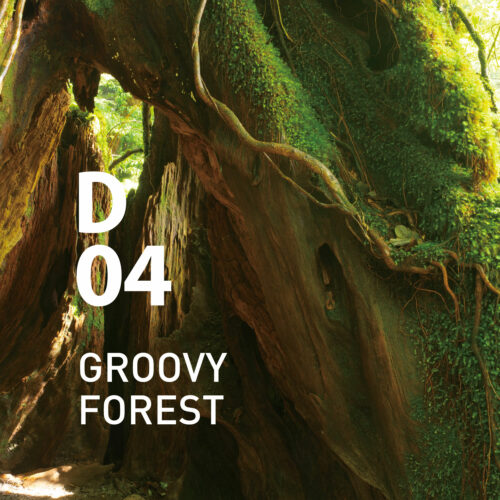 D04 Groovy Forest