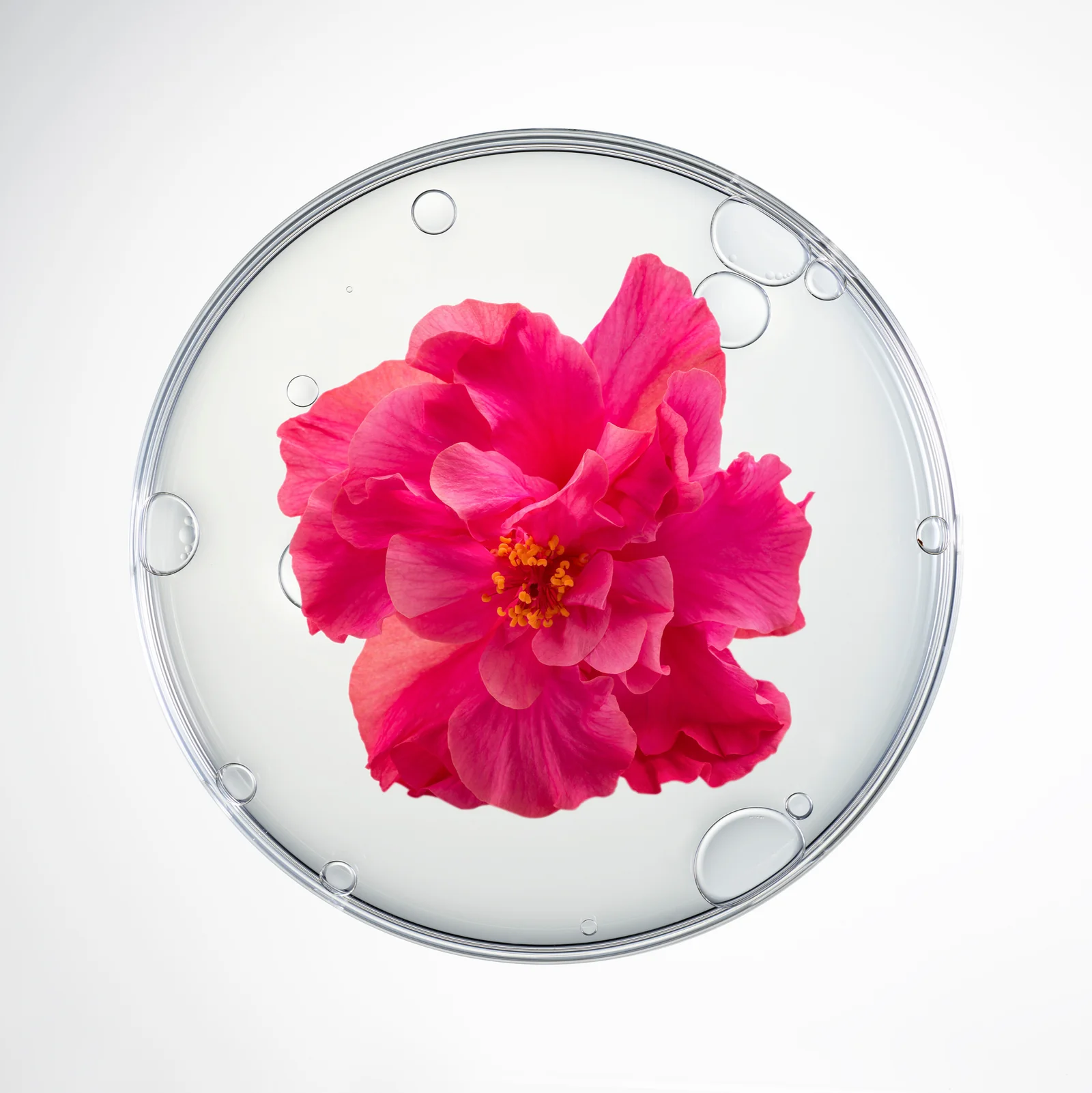 CellCollagen Face and Neck Mask – Bild 2