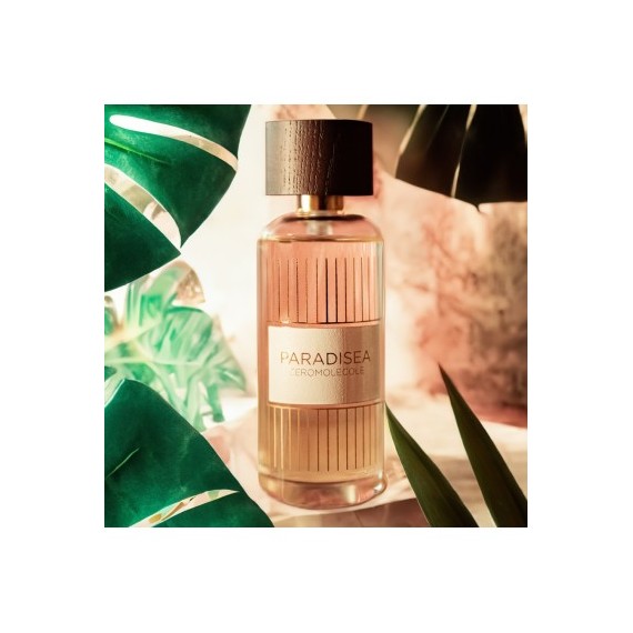 Paradisea – Bild 2