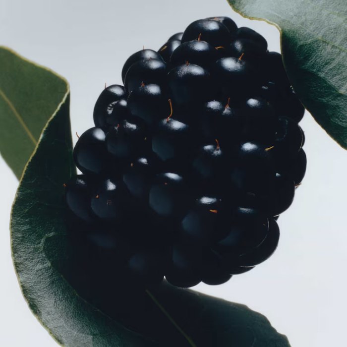 Blackberry & Bay Cologne – Bild 3