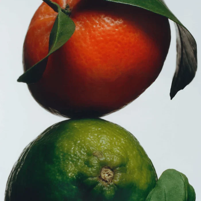 Lime Basil & Mandarin Duftkerze – Bild 2