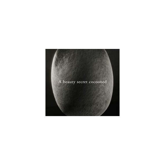 Sensai Biomimesis Veil – Bild 2