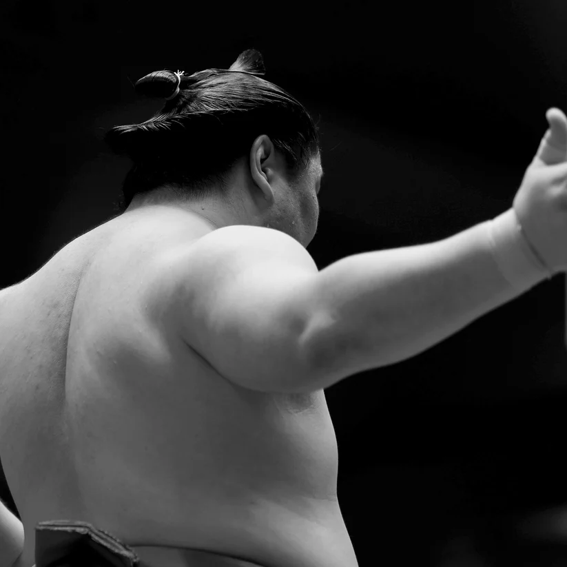Sumo Wrestler – Bild 2