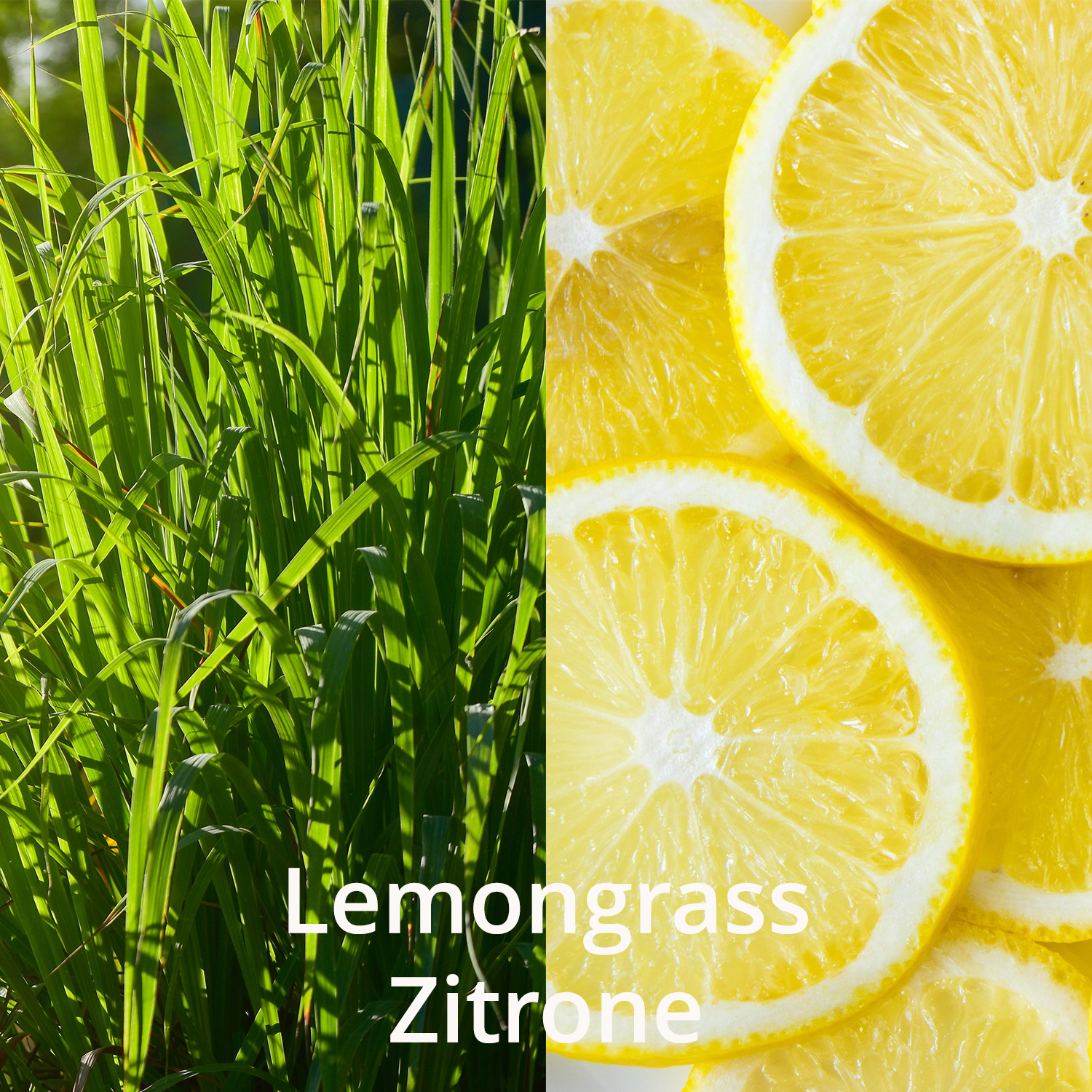 Lemongrass - Room Fragrance