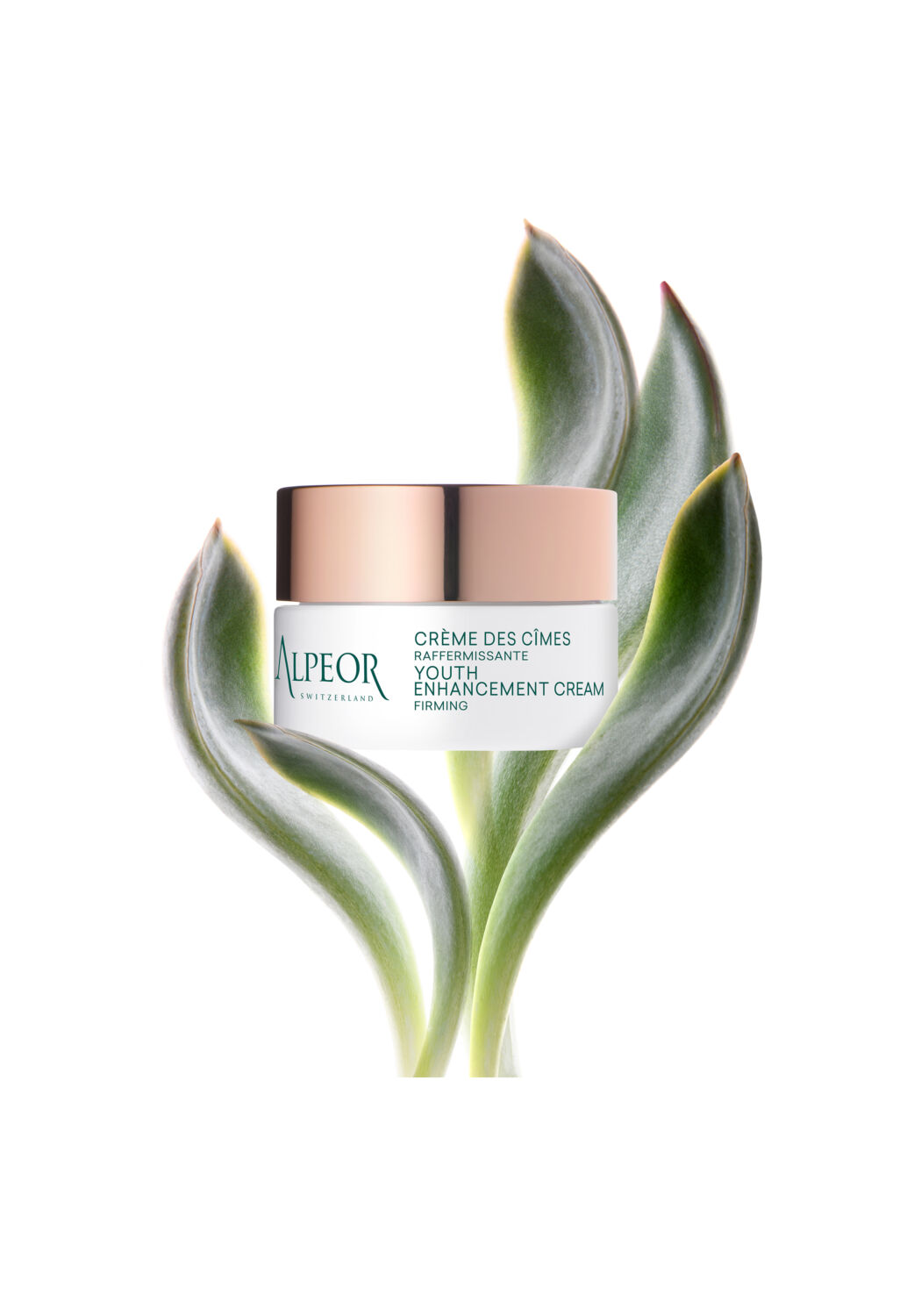 Youth Enhancement Cream – Bild 2