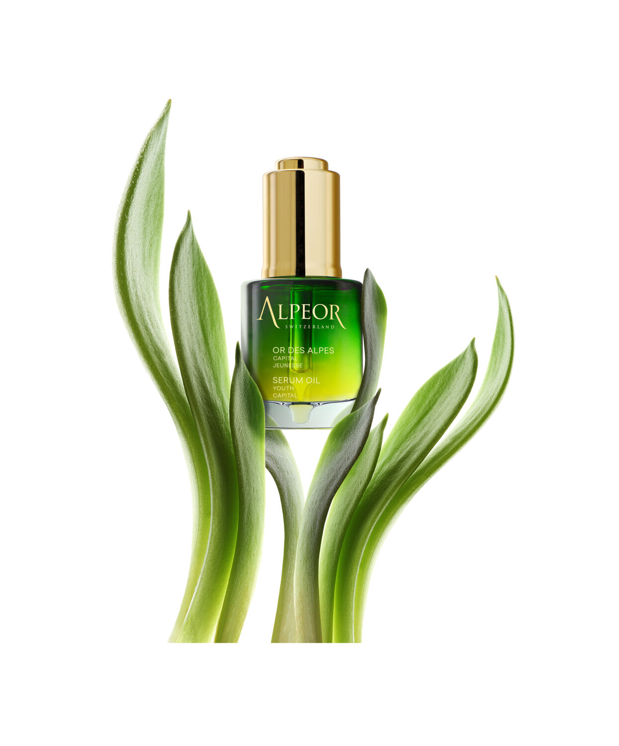 Or des Alpes – Bild 2