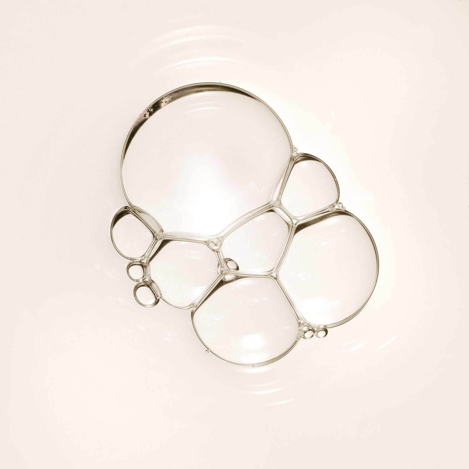 Fascial Essence – Bild 4